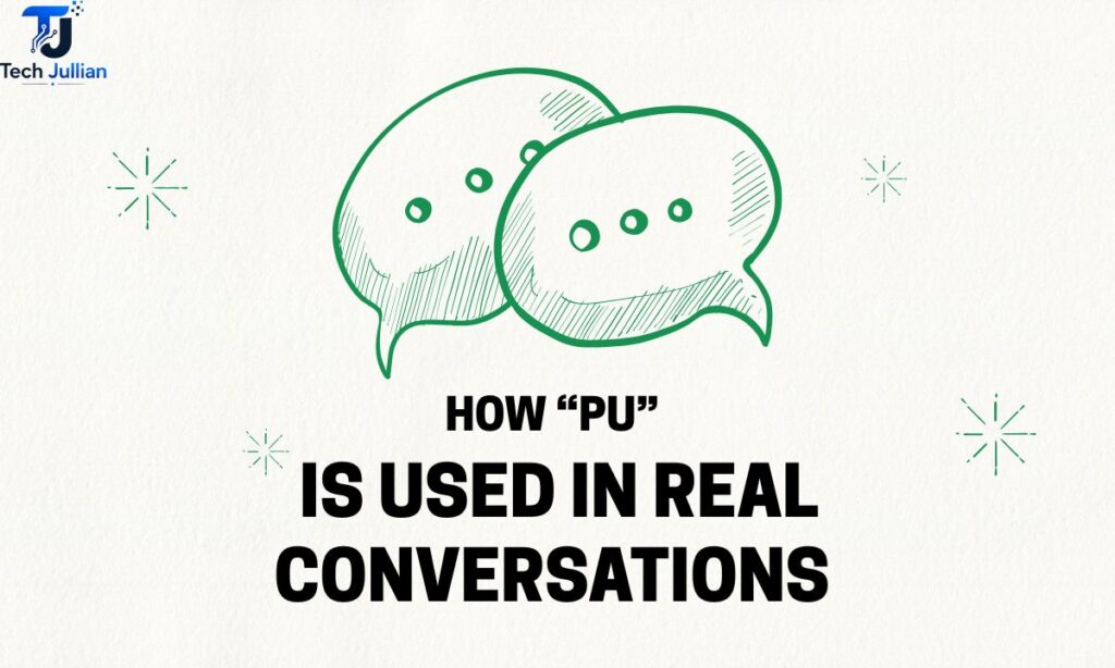 PU Meaning