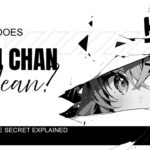 what-does-onii-chan-mean-the-anime-secret-explained