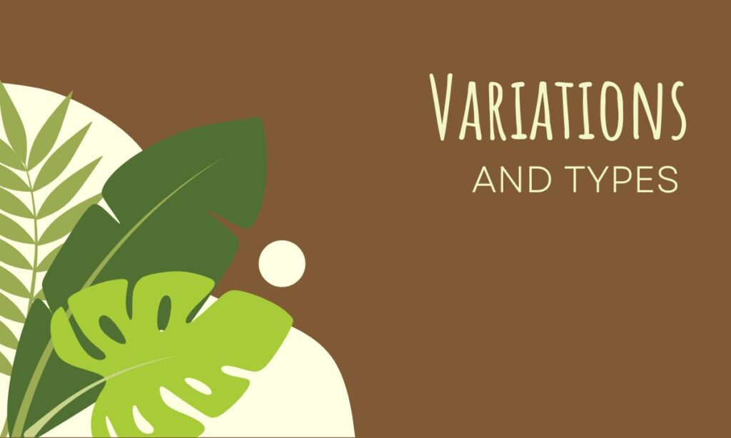 variations-and-types
